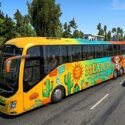 Skins Bus Simulator ultimate Volvo 9800.